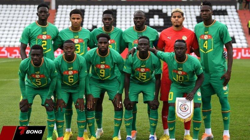 Senegal bất bại trong hành trình vòng loại dưới sự dẫn dắt của HLV Pape Thiaw